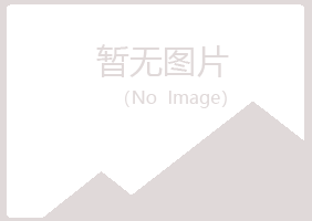 黑龙江雅山能源有限公司